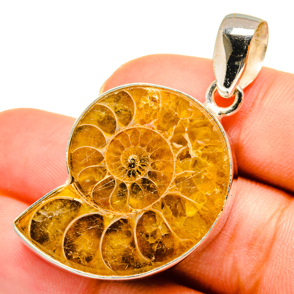 Ammonite Fossil Pendants handcrafted by Anasilvercos - PD9249