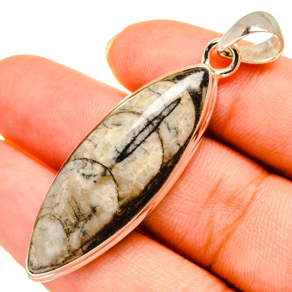 Orthoceras Fossil Pendants handcrafted by Anasilvercos - PD9299