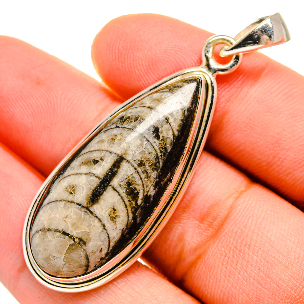 Orthoceras Fossil Pendants handcrafted by Anasilvercos - PD9576