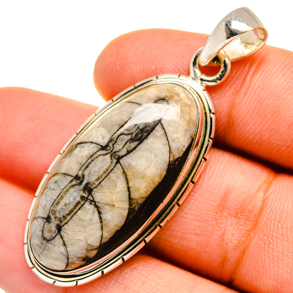 Orthoceras Fossil Pendants handcrafted by Anasilvercos - PD9642