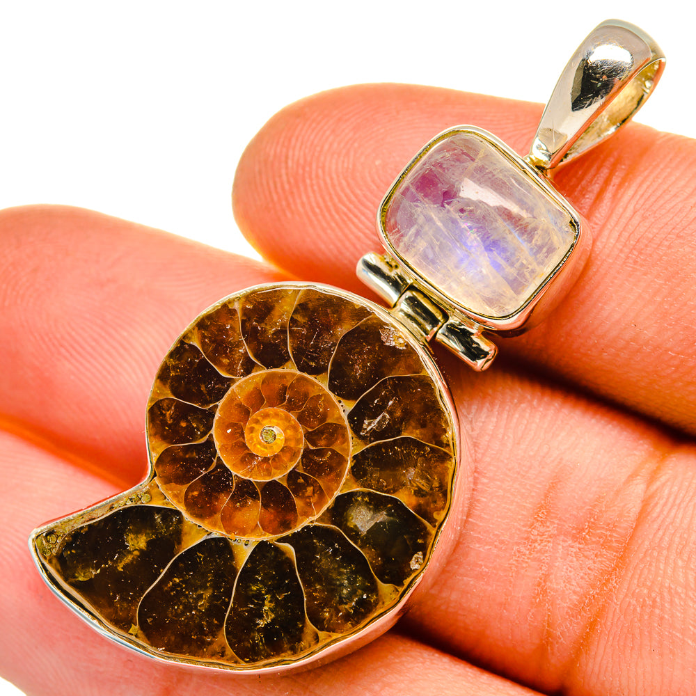 Ammonite Fossil Pendants handcrafted by Anasilvercos - PD9649
