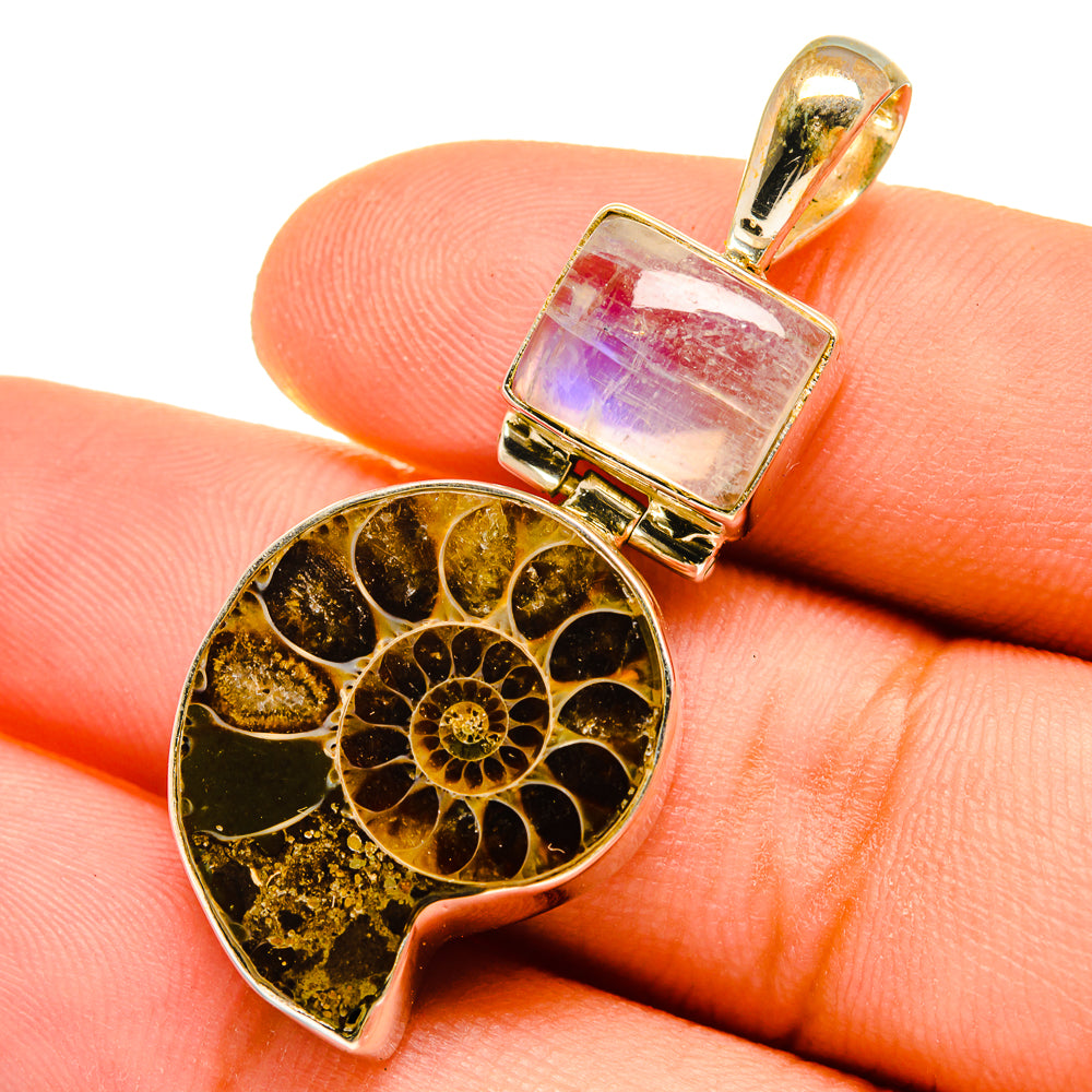 Ammonite Fossil Pendants handcrafted by Anasilvercos - PD9754