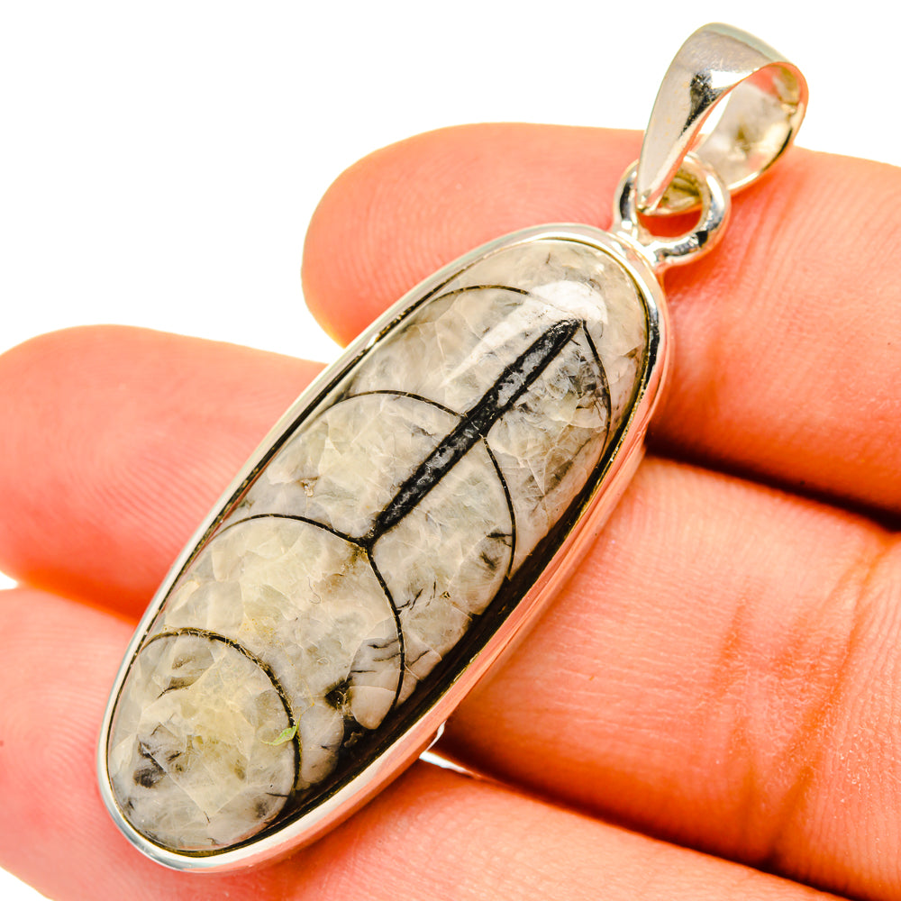 Orthoceras Fossil Pendants handcrafted by Anasilvercos - PD9826
