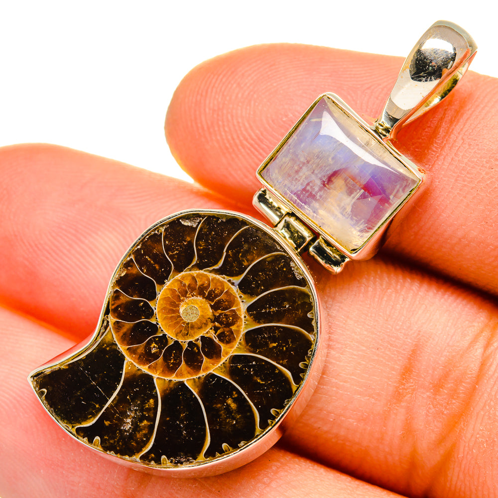 Ammonite Fossil Pendants handcrafted by Anasilvercos - PD9998