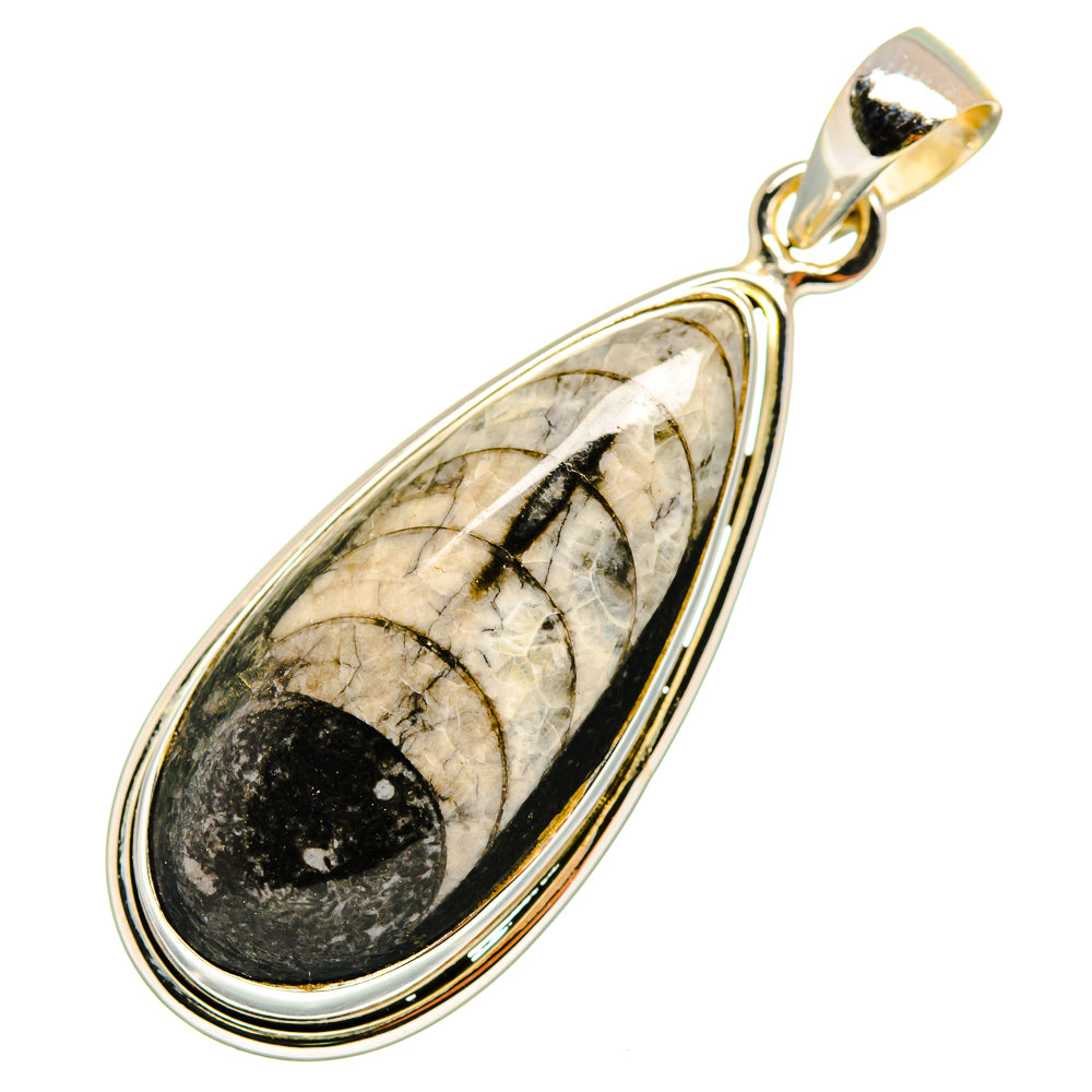 Orthoceras Fossil Pendants handcrafted by Anasilvercos - PD10043