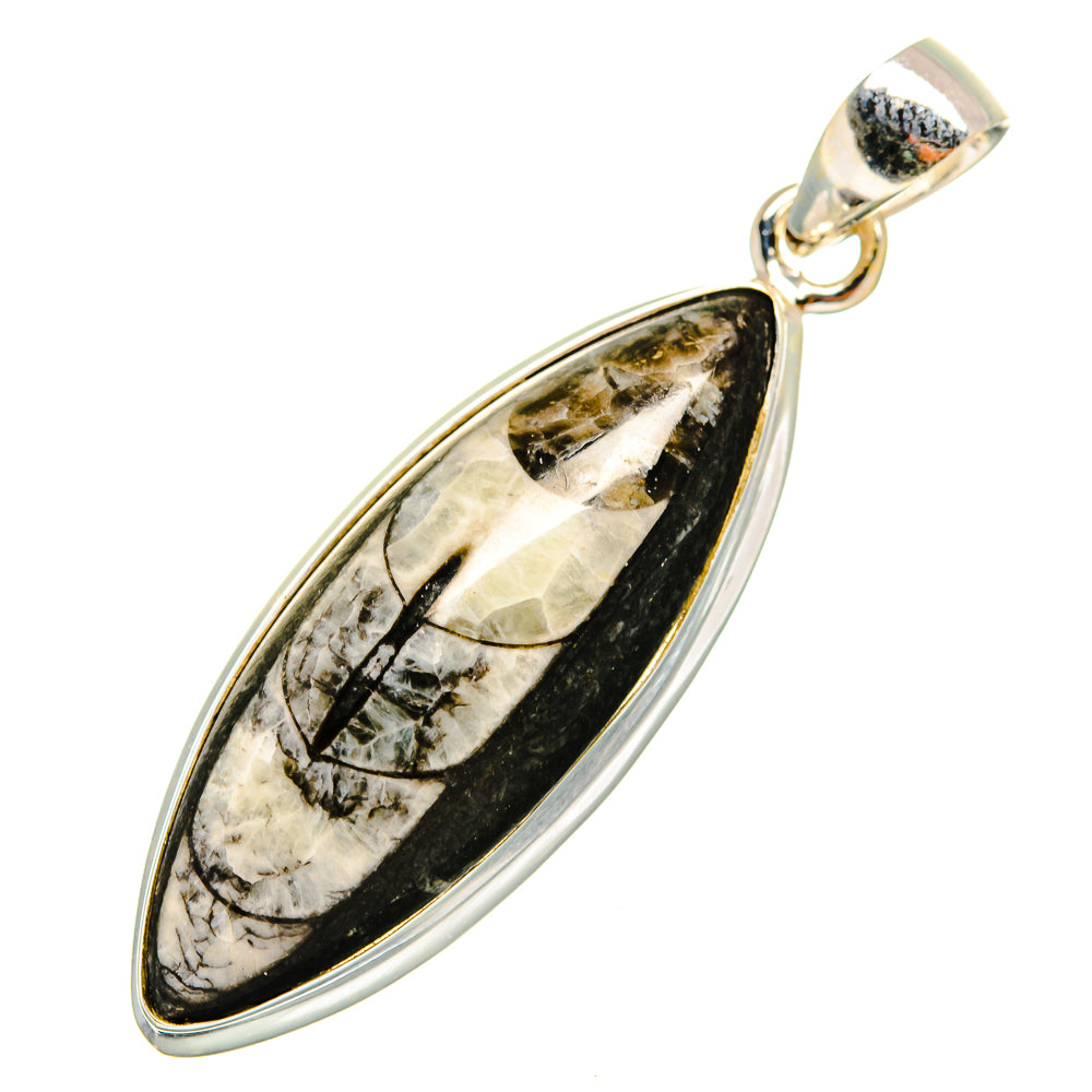 Orthoceras Fossil Pendants handcrafted by Anasilvercos - PD10044