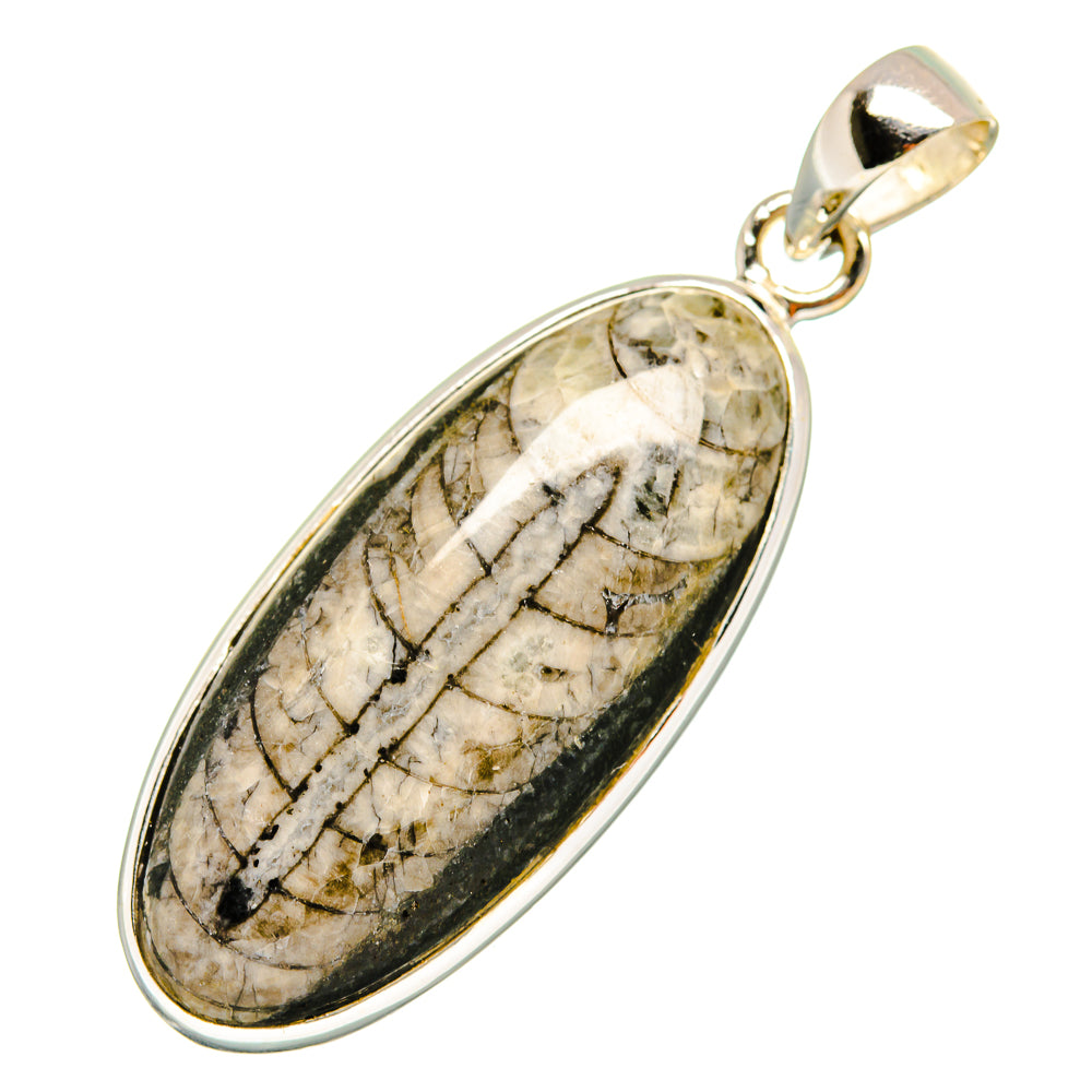 Orthoceras Fossil Pendants handcrafted by Anasilvercos - PD10045