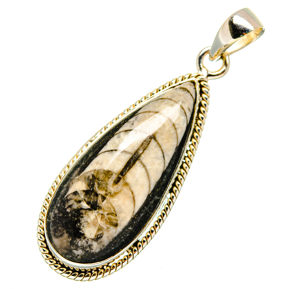 Orthoceras Fossil Pendants handcrafted by Anasilvercos - PD10046