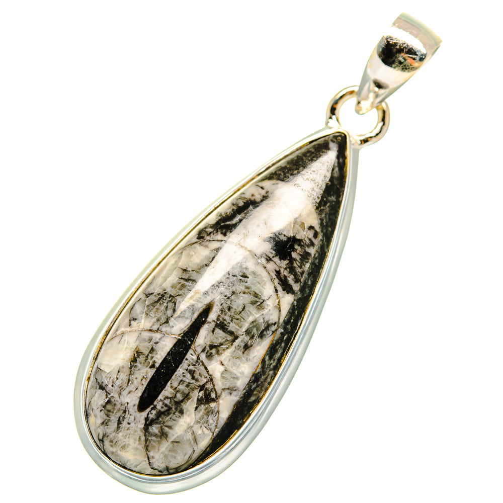 Orthoceras Fossil Pendants handcrafted by Anasilvercos - PD10225