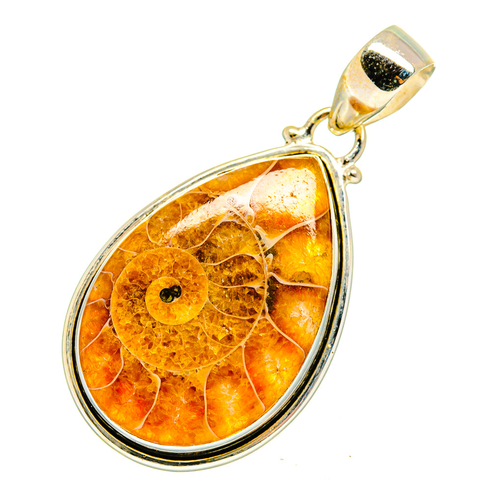 Ammonite Fossil Pendants handcrafted by Anasilvercos - PD10250