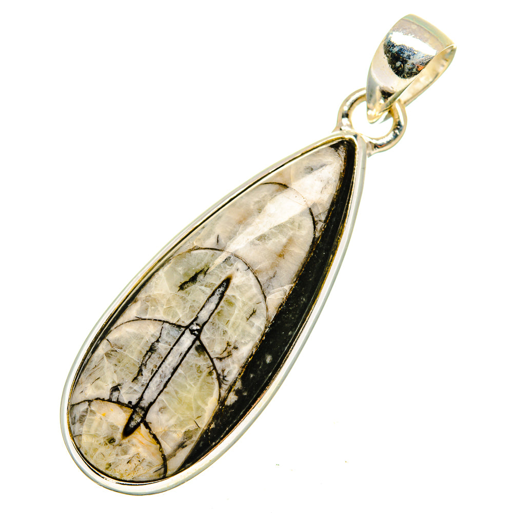 Orthoceras Fossil Pendants handcrafted by Anasilvercos - PD10295