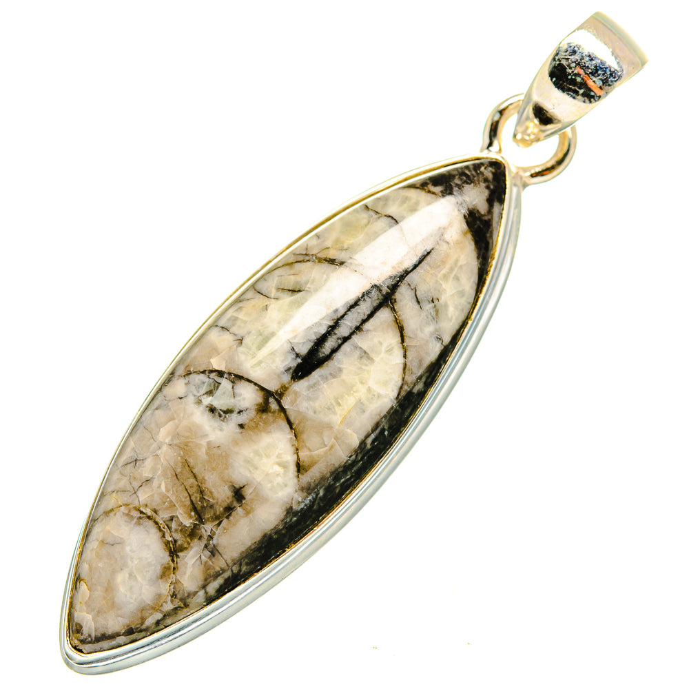 Orthoceras Fossil Pendants handcrafted by Anasilvercos - PD10301