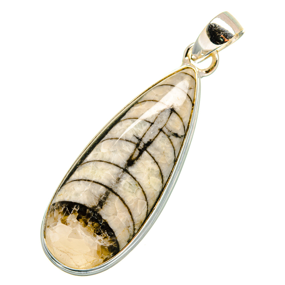 Orthoceras Fossil Pendants handcrafted by Anasilvercos - PD10338