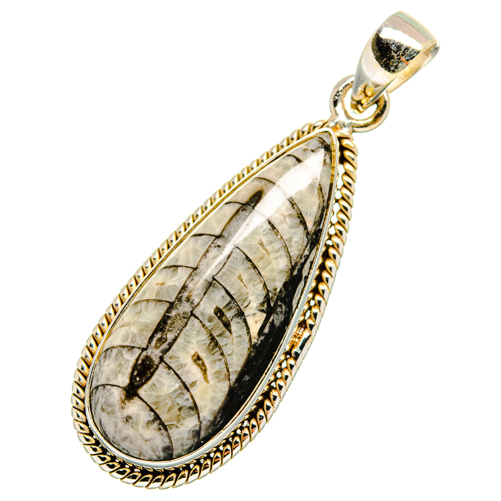 Orthoceras Fossil Pendants handcrafted by Anasilvercos - PD10339