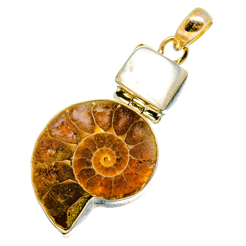 Ammonite Fossil Pendants handcrafted by Anasilvercos - PD10347