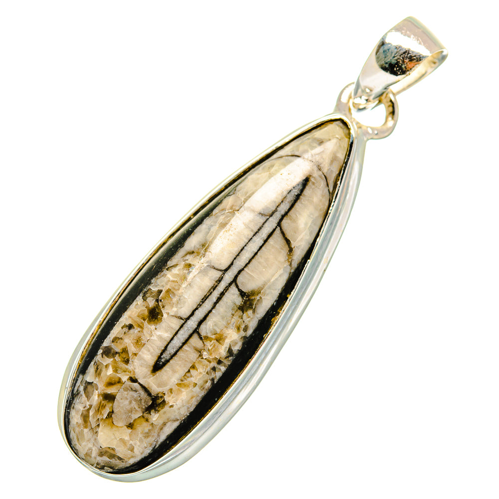 Orthoceras Fossil Pendants handcrafted by Anasilvercos - PD10405