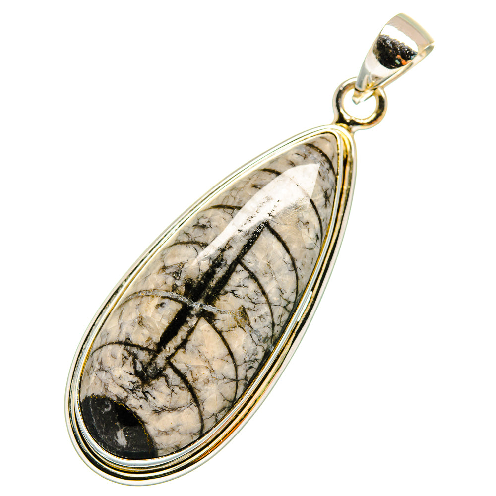 Orthoceras Fossil Pendants handcrafted by Anasilvercos - PD10406
