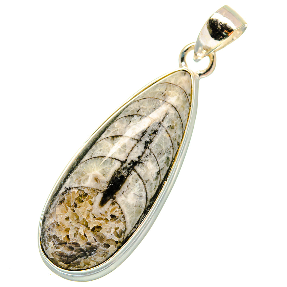 Orthoceras Fossil Pendants handcrafted by Anasilvercos - PD10436