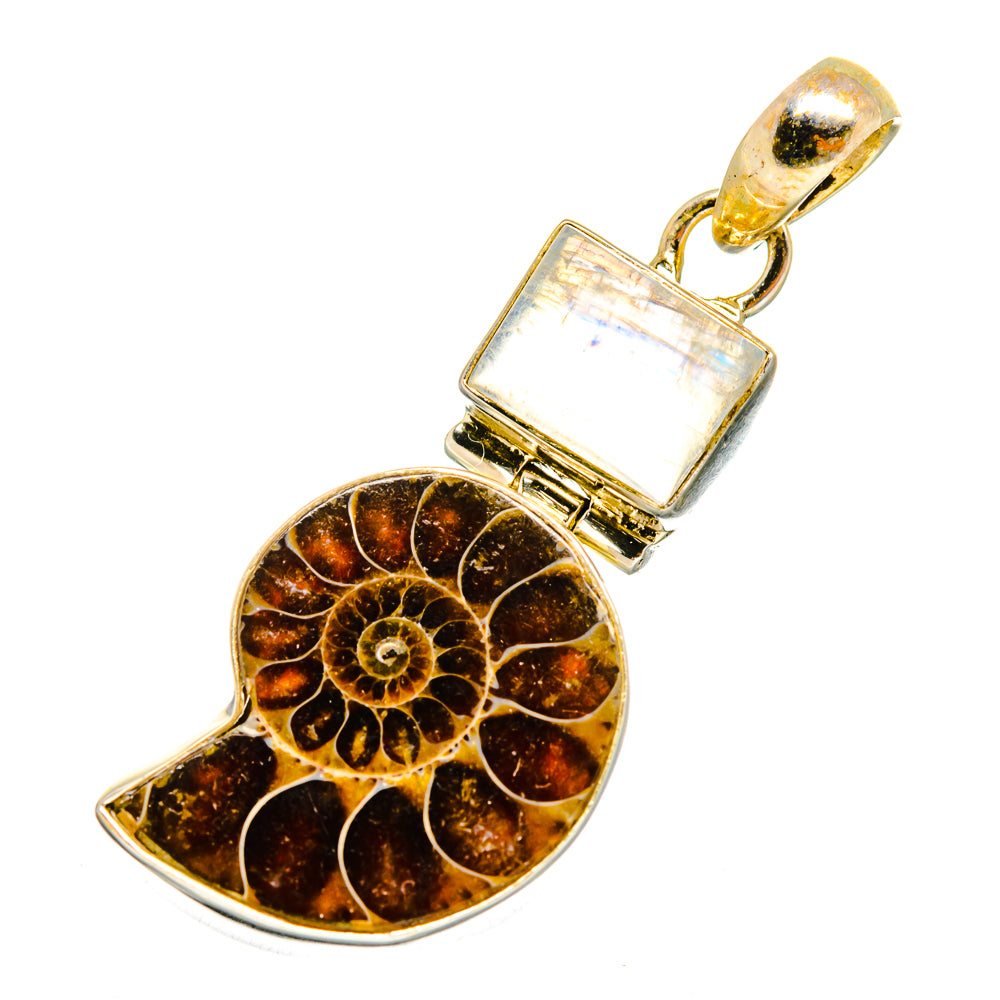 Ammonite Fossil Pendants handcrafted by Anasilvercos - PD10656