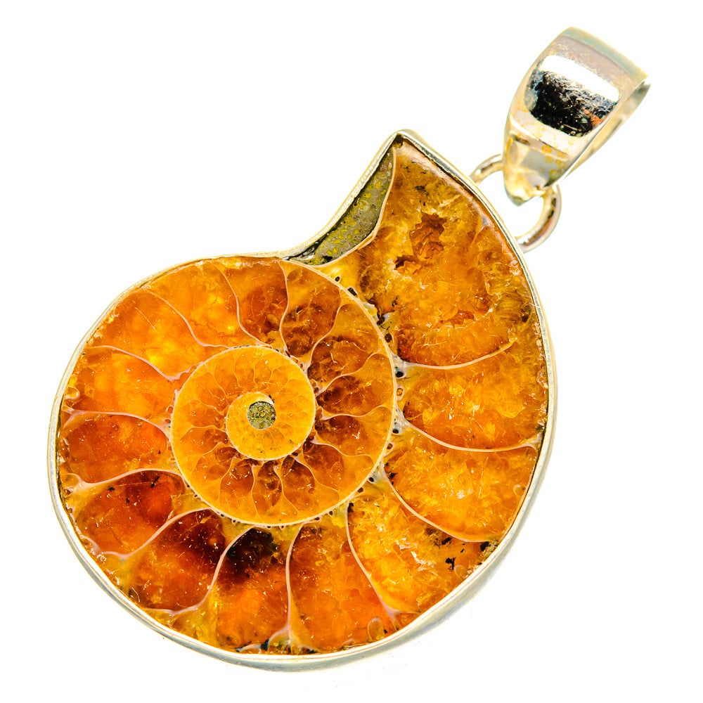 Ammonite Fossil Pendants handcrafted by Anasilvercos - PD10709
