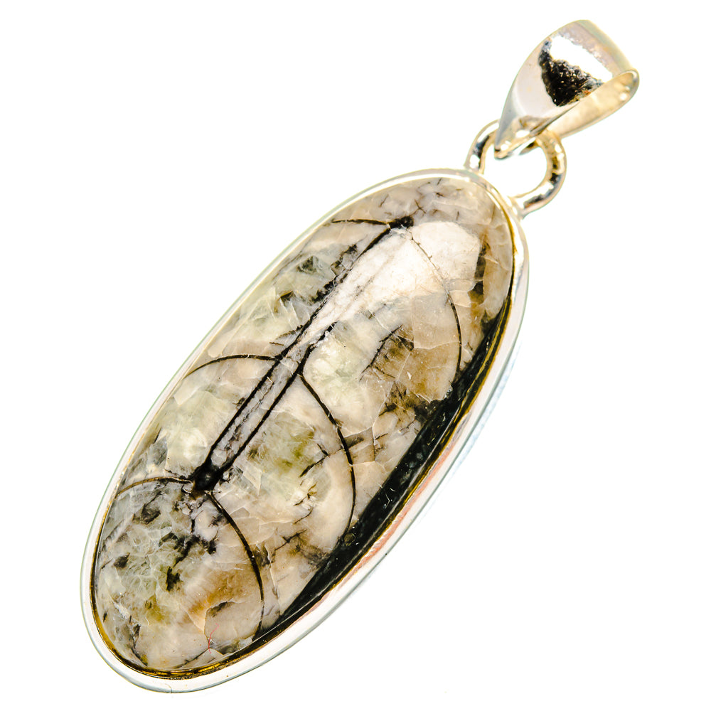 Orthoceras Fossil Pendants handcrafted by Anasilvercos - PD10715