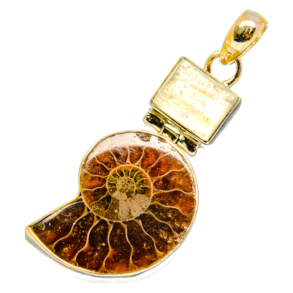 Ammonite Fossil Pendants handcrafted by Anasilvercos - PD10793