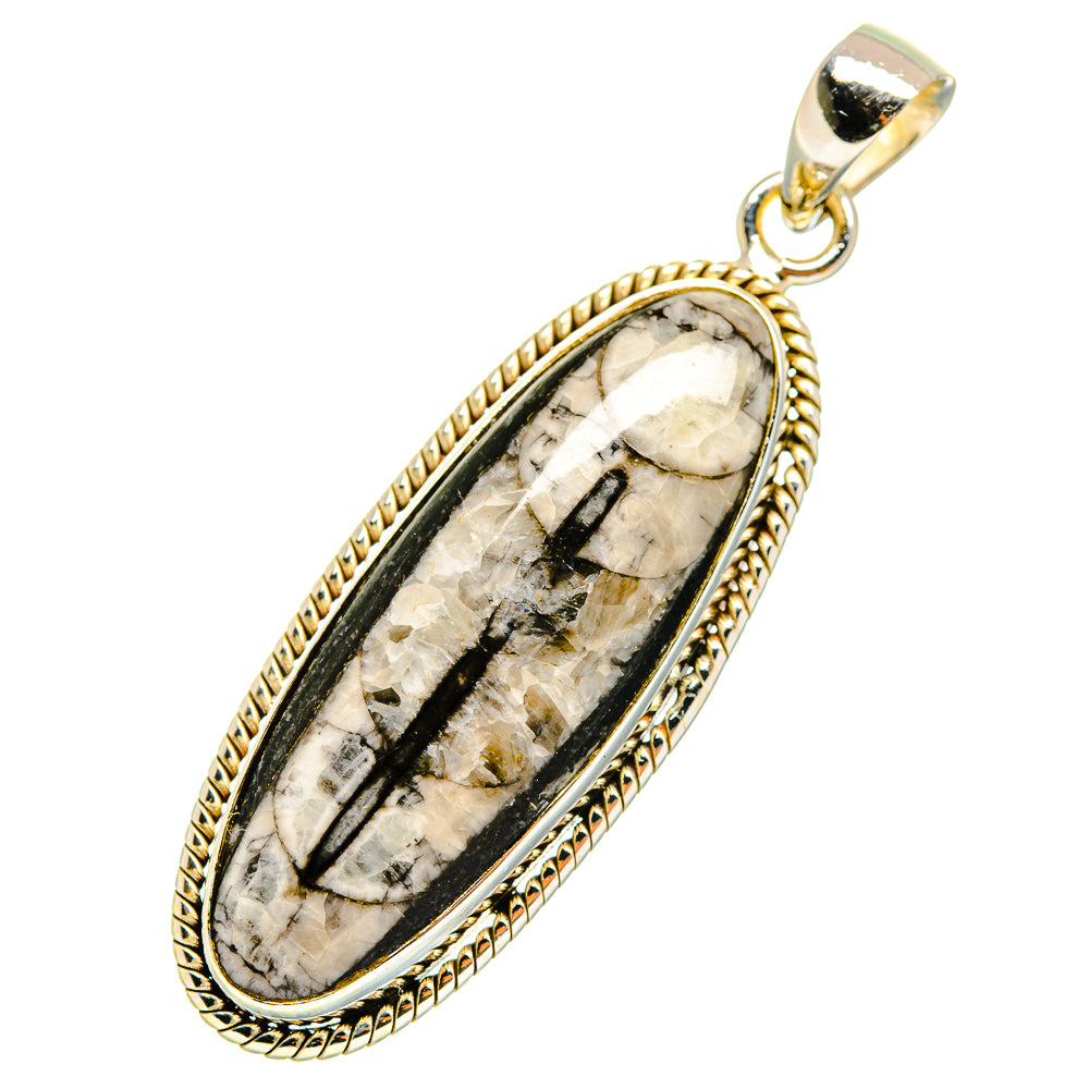 Orthoceras Fossil Pendants handcrafted by Anasilvercos - PD10803