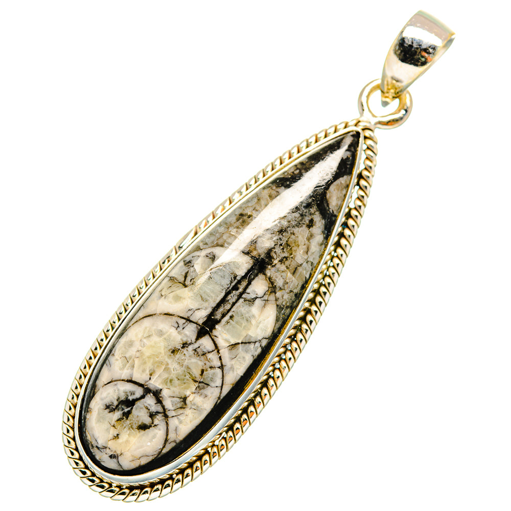 Orthoceras Fossil Pendants handcrafted by Anasilvercos - PD10810