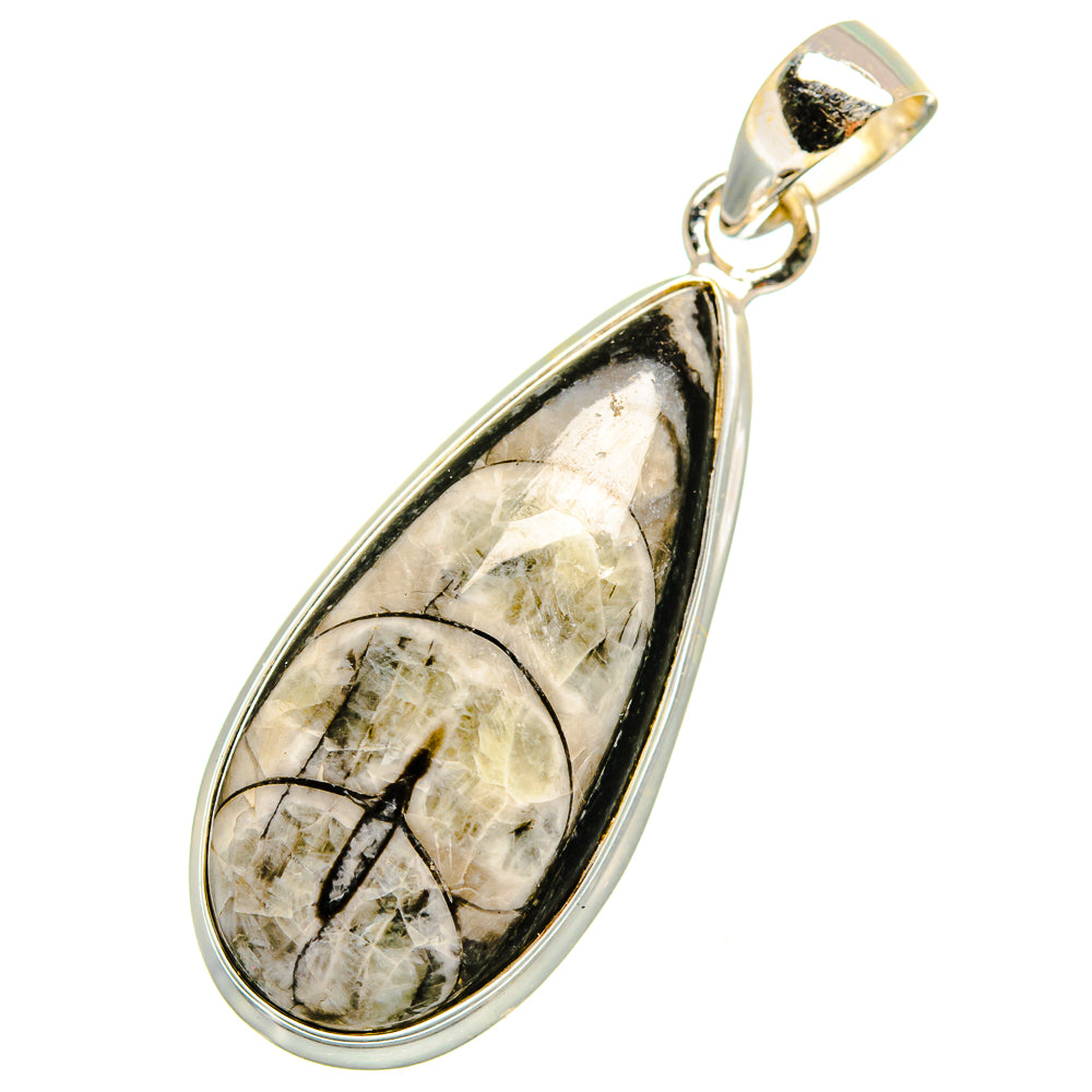 Orthoceras Fossil Pendants handcrafted by Anasilvercos - PD10895