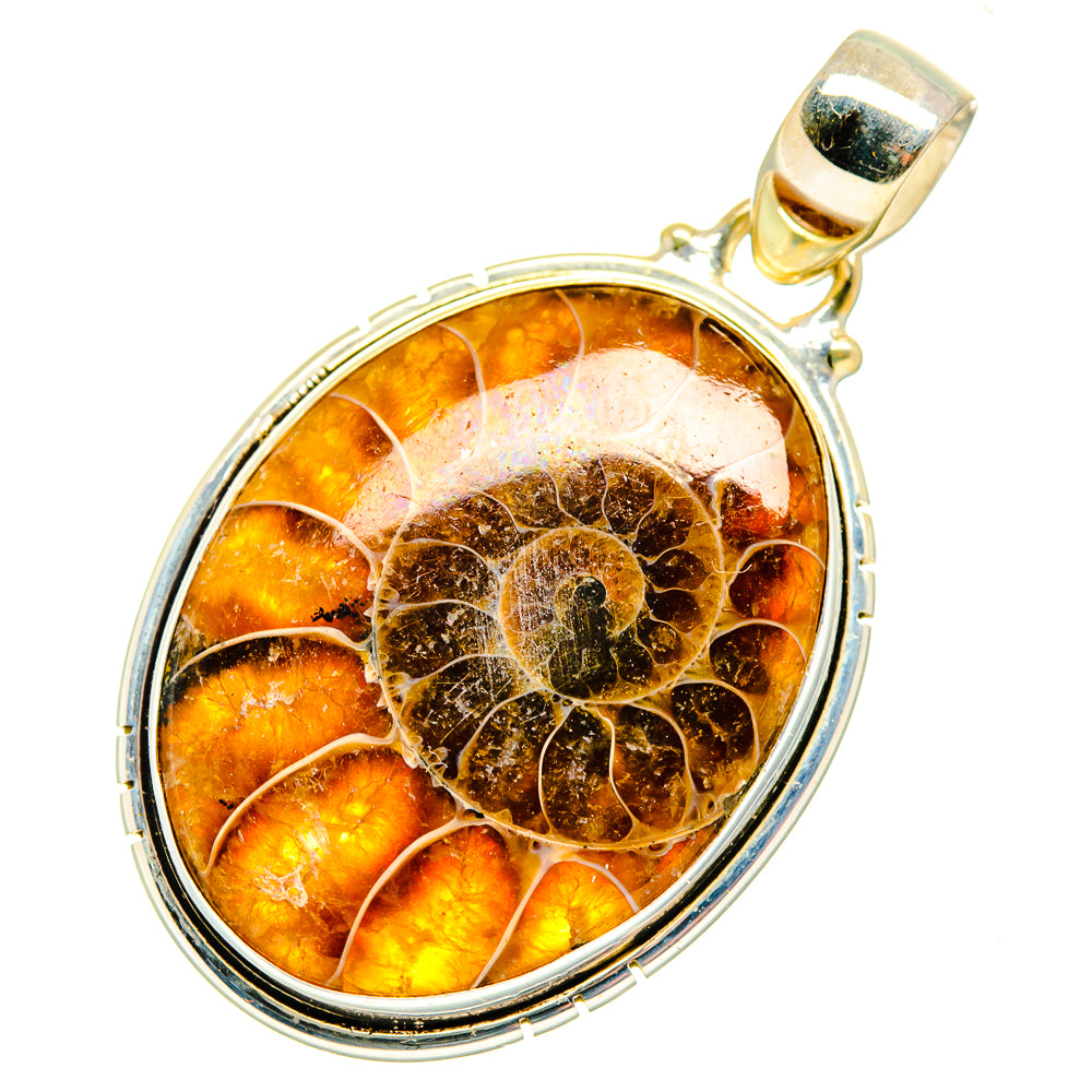 Ammonite Fossil Pendants handcrafted by Anasilvercos - PD10943