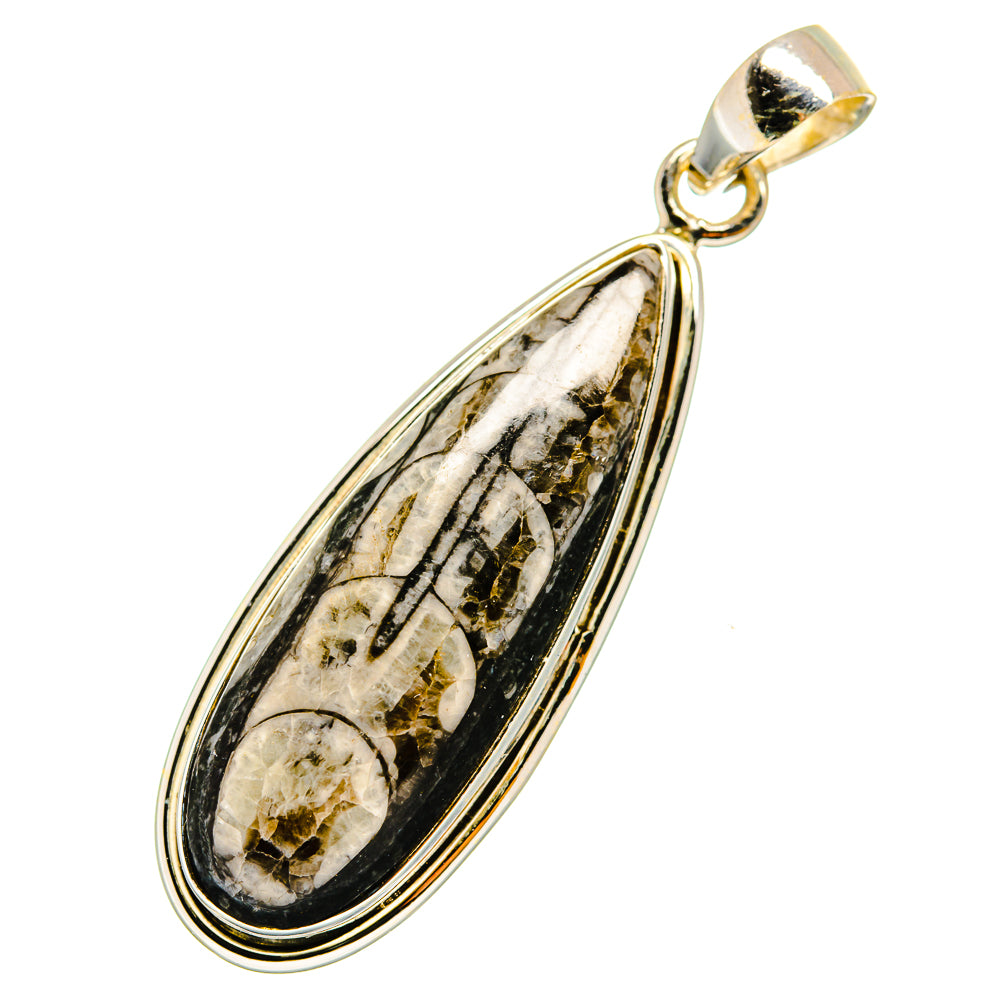 Orthoceras Fossil Pendants handcrafted by Anasilvercos - PD11061