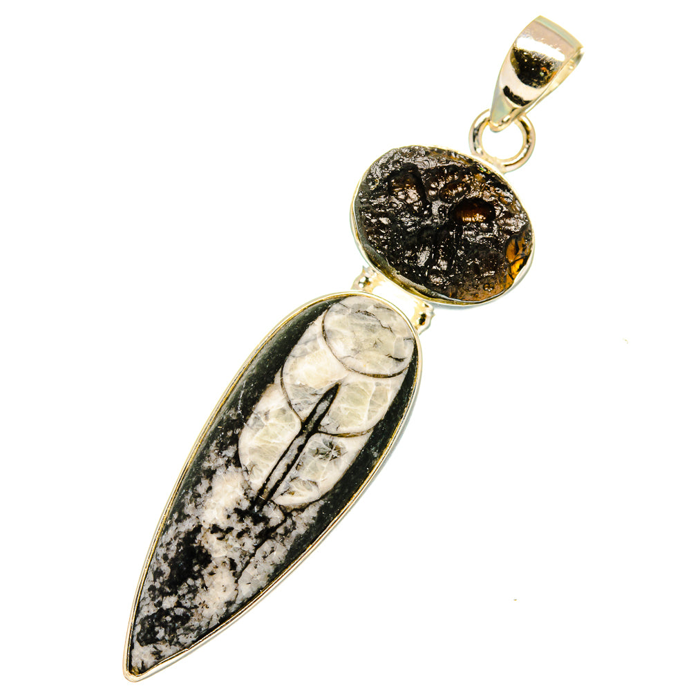 Orthoceras Fossil Pendants handcrafted by Anasilvercos - PD11085