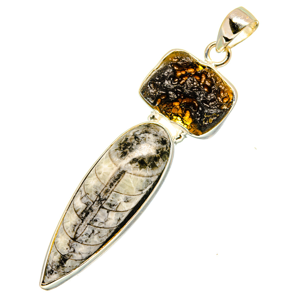 Orthoceras Fossil Pendants handcrafted by Anasilvercos - PD11088