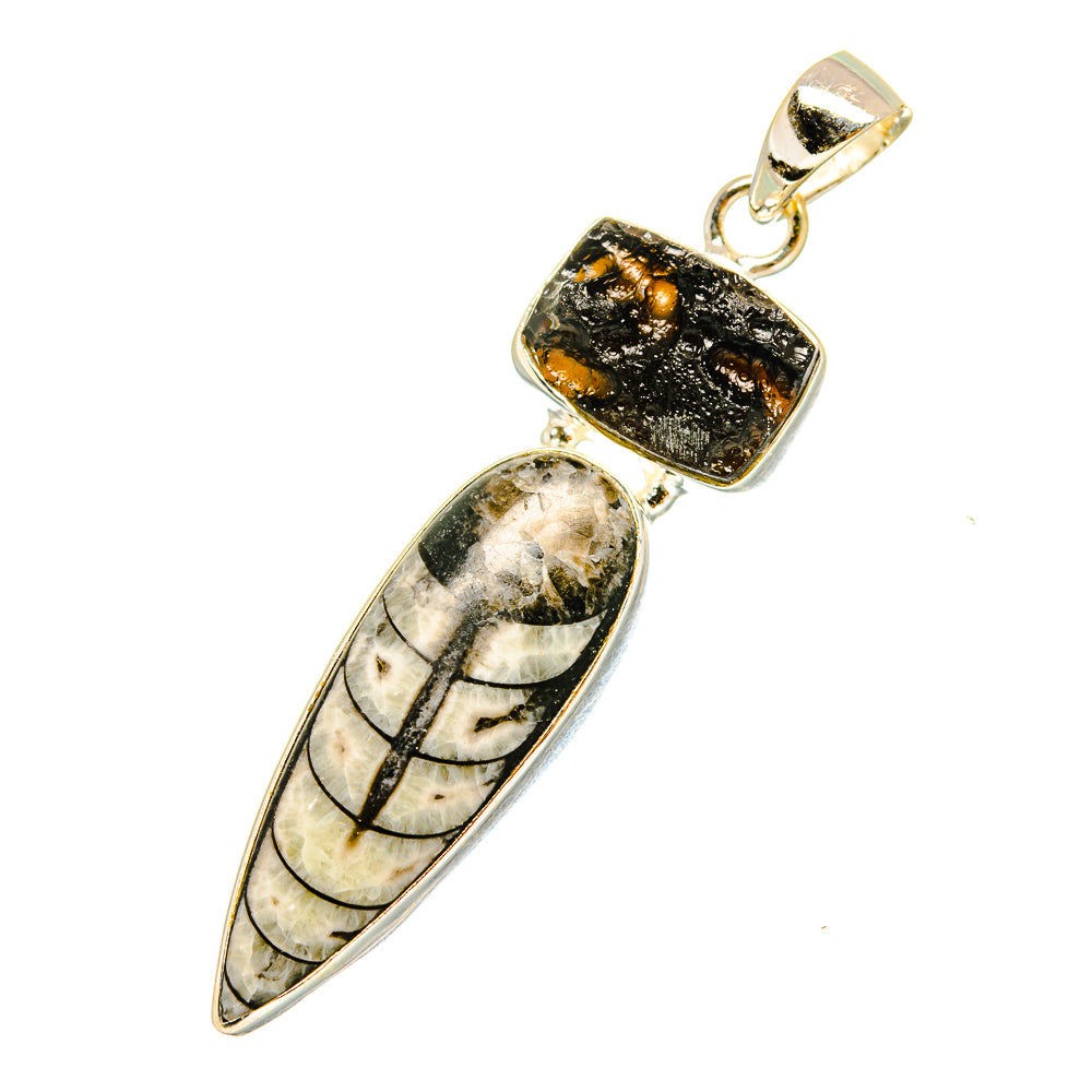 Orthoceras Fossil Pendants handcrafted by Anasilvercos - PD11089