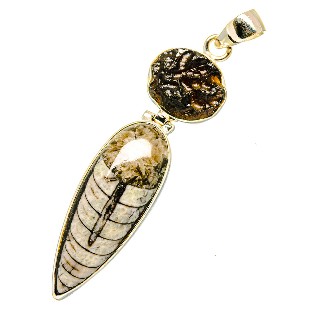 Orthoceras Fossil Pendants handcrafted by Anasilvercos - PD11090