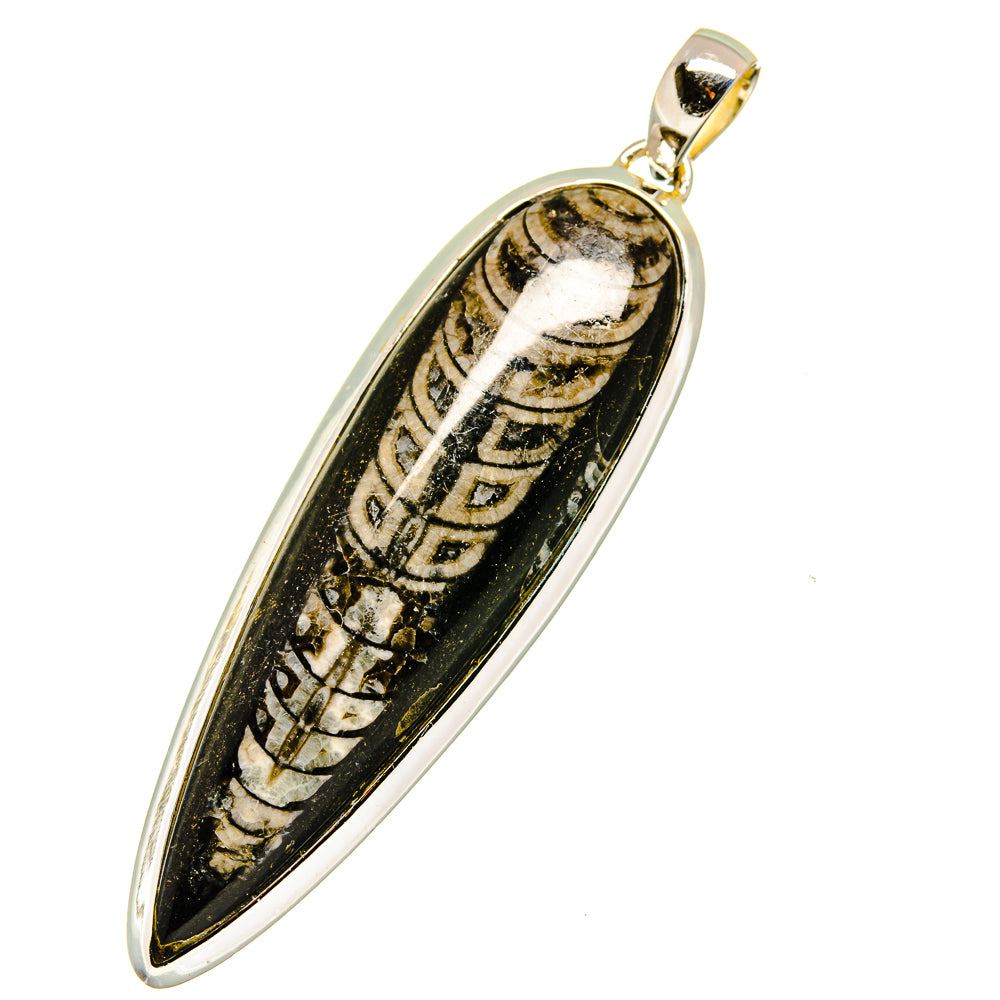 Orthoceras Fossil Pendants handcrafted by Anasilvercos - PD11458