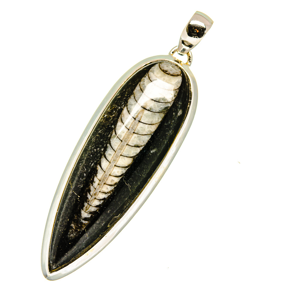 Orthoceras Fossil Pendants handcrafted by Anasilvercos - PD11459