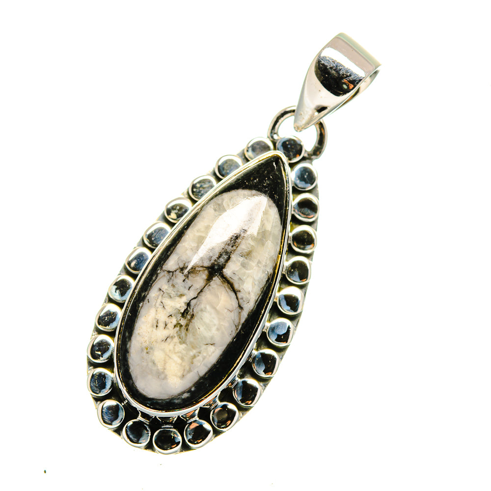 Orthoceras Fossil Pendants handcrafted by Anasilvercos - PD12485