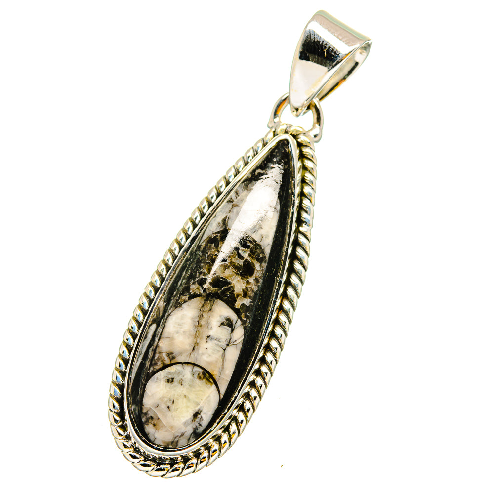 Orthoceras Fossil Pendants handcrafted by Anasilvercos - PD13173