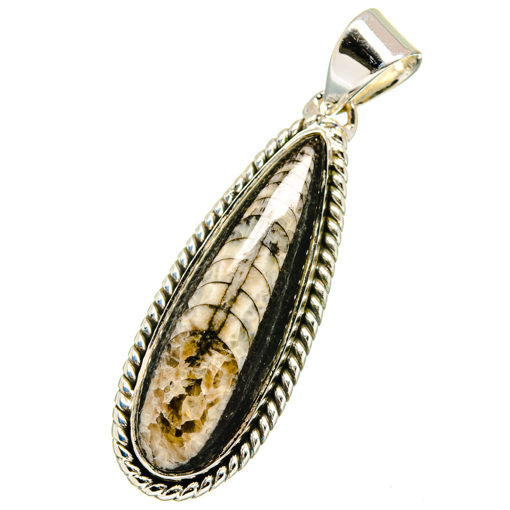 Orthoceras Fossil Pendants handcrafted by Anasilvercos - PD13326