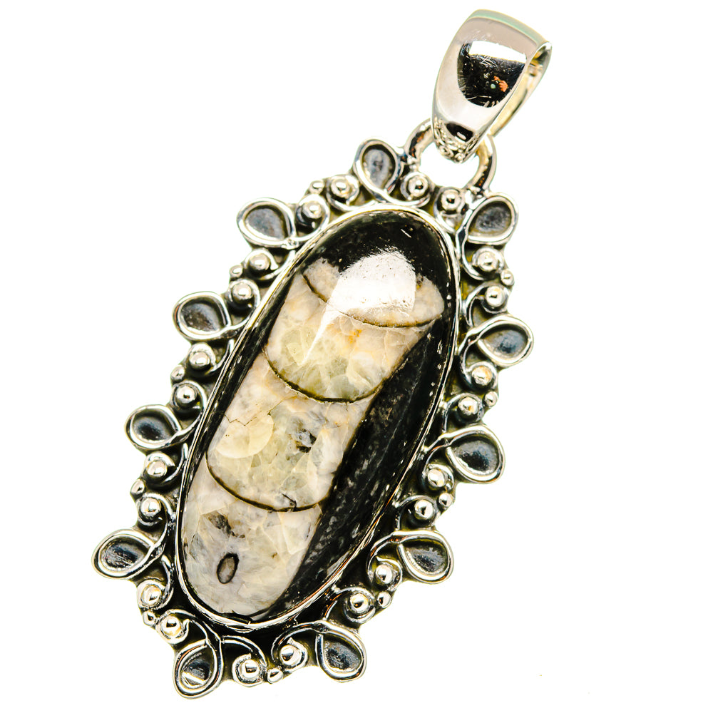Orthoceras Fossil Pendants handcrafted by Anasilvercos - PD13332