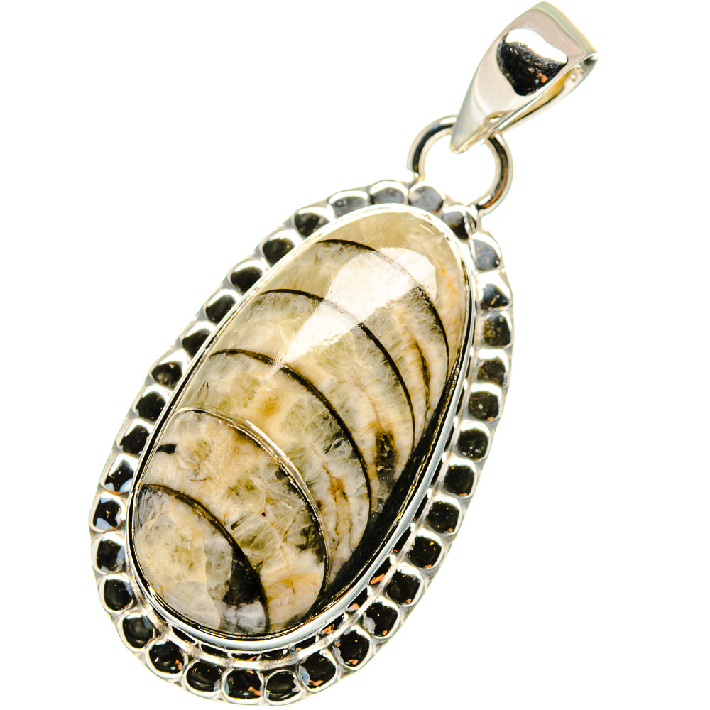Orthoceras Fossil Pendants handcrafted by Anasilvercos - PD13334