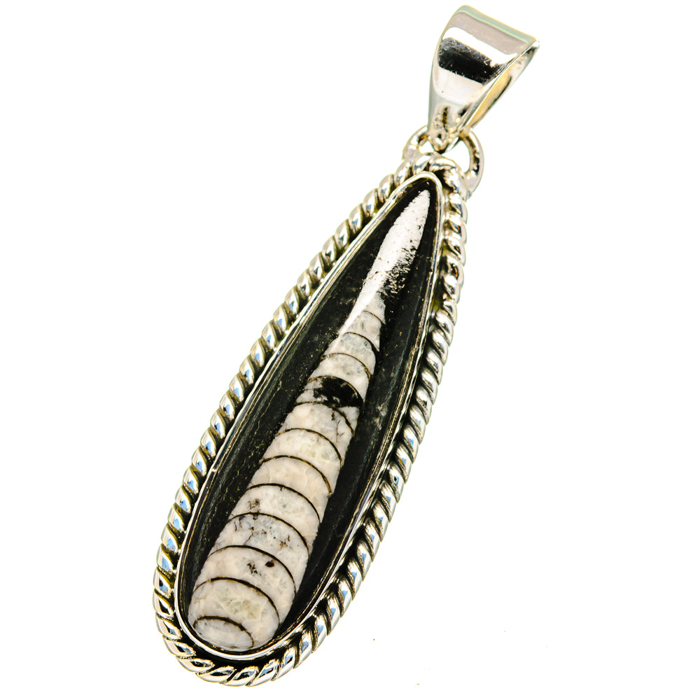 Orthoceras Fossil Pendants handcrafted by Anasilvercos - PD13353