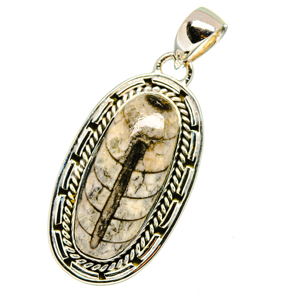 Orthoceras Fossil Pendants handcrafted by Anasilvercos - PD13366