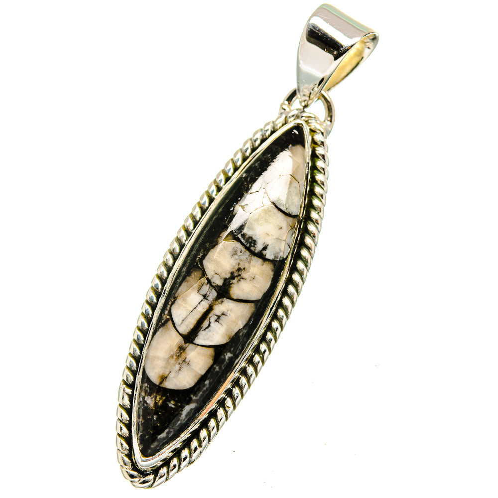 Orthoceras Fossil Pendants handcrafted by Anasilvercos - PD13380