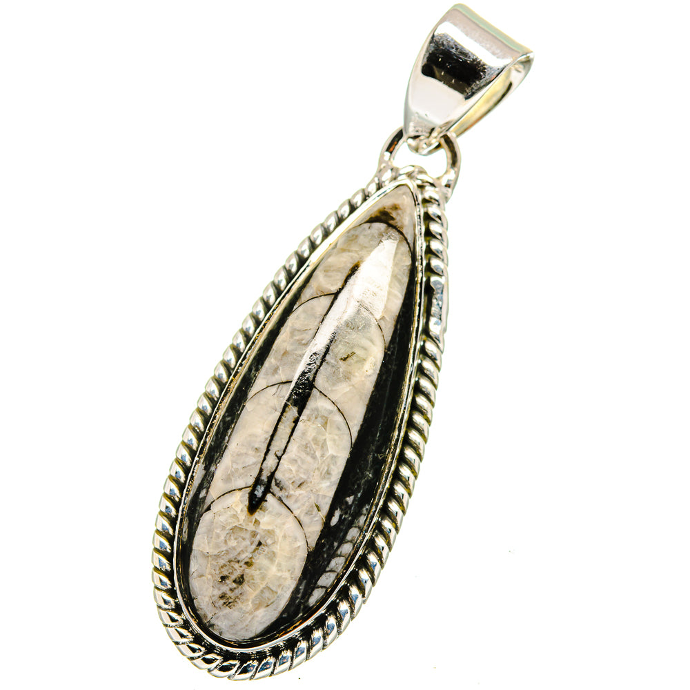 Orthoceras Fossil Pendants handcrafted by Anasilvercos - PD13381