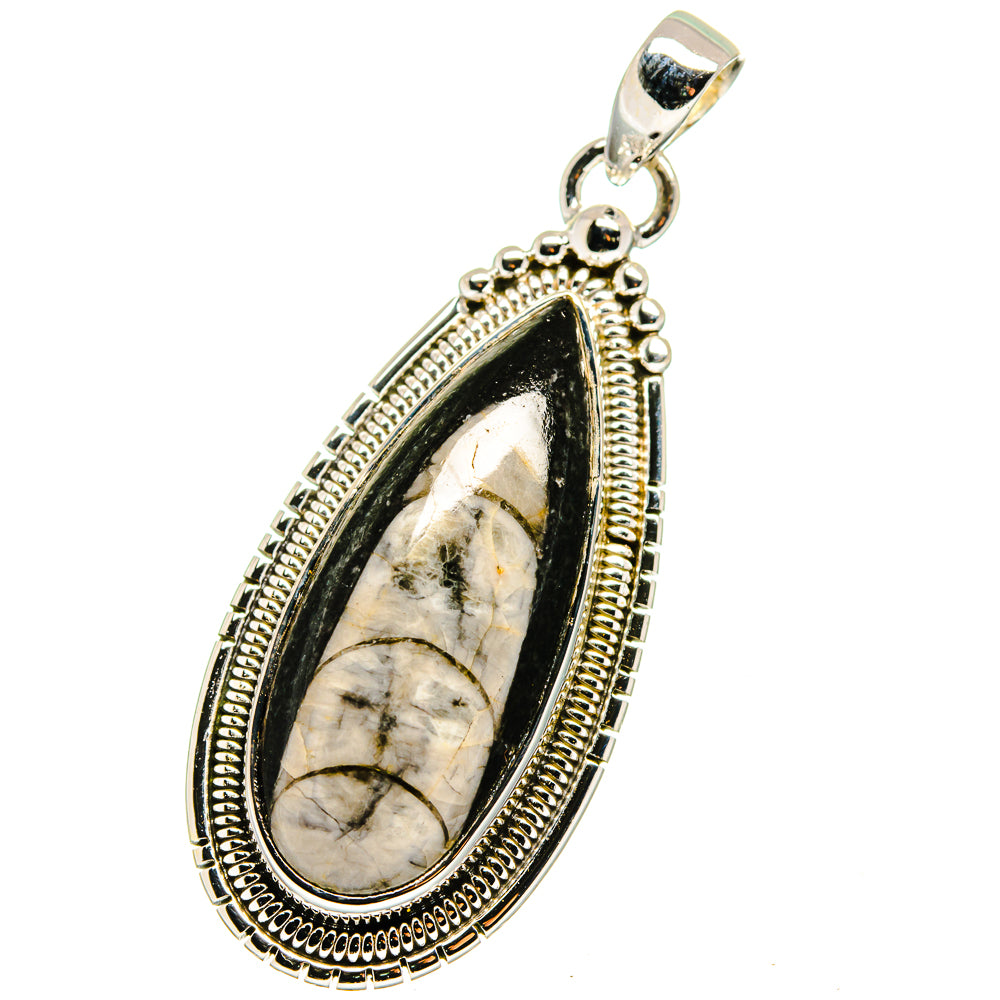 Orthoceras Fossil Pendants handcrafted by Anasilvercos - PD13397