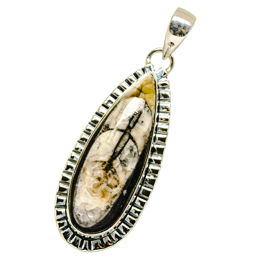 Orthoceras Fossil Pendants handcrafted by Anasilvercos - PD13400
