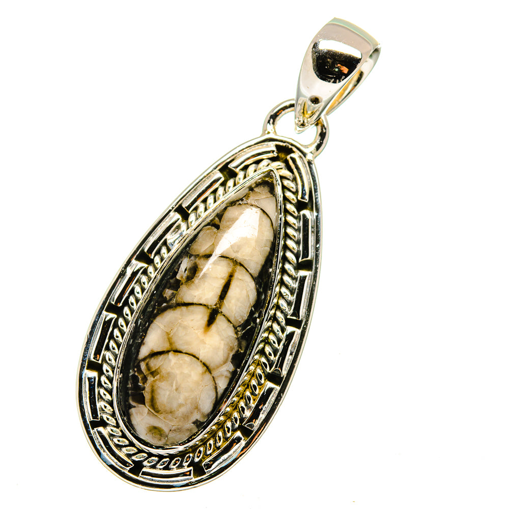 Orthoceras Fossil Pendants handcrafted by Anasilvercos - PD13412
