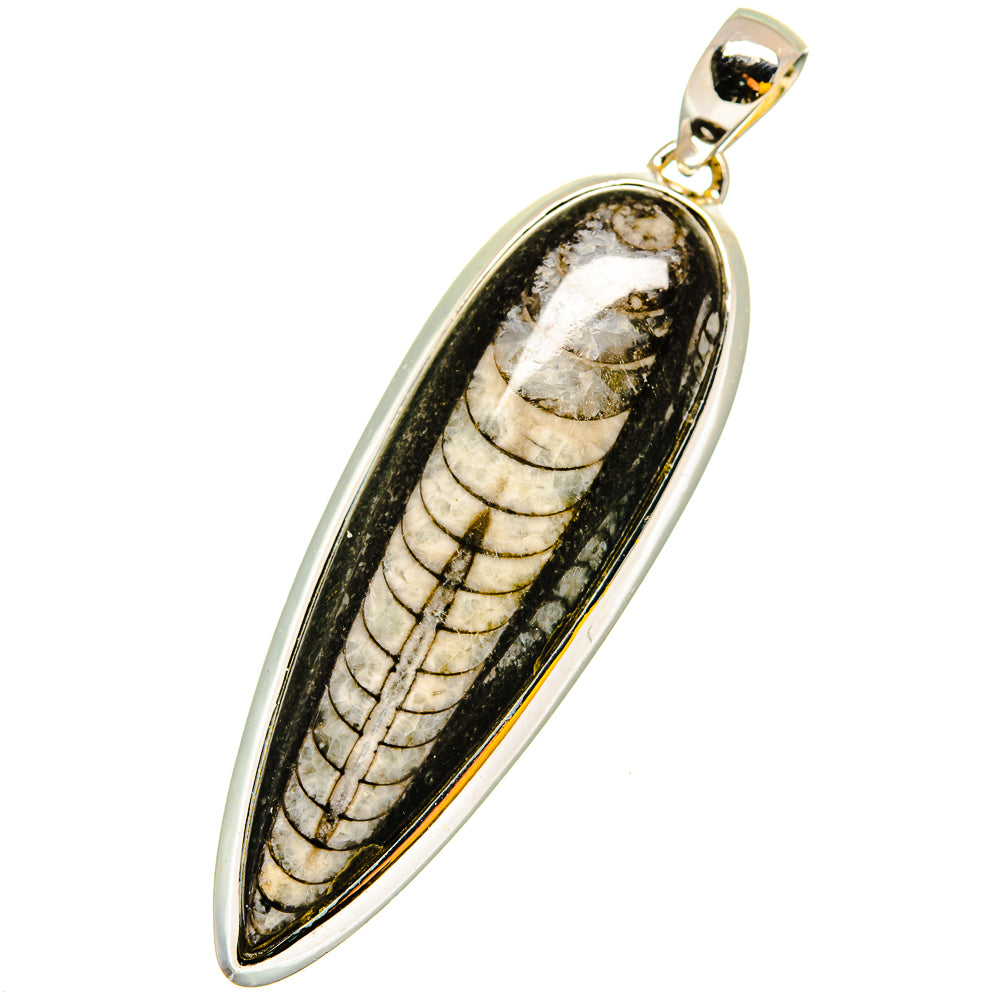 Orthoceras Fossil Pendants handcrafted by Anasilvercos - PD13443